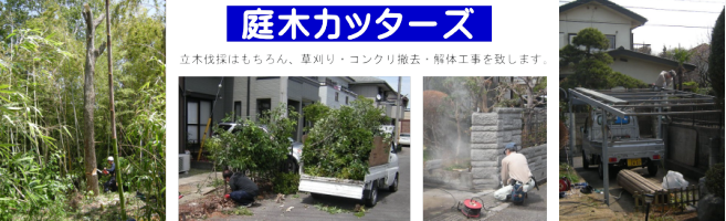 庭木・庭木の伐採、草刈り、コンクリート解体、車庫・カーポート・物置・プレハブ・ウッドデッキの撤去を行います。